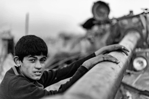 phot maryam ashrafi 13