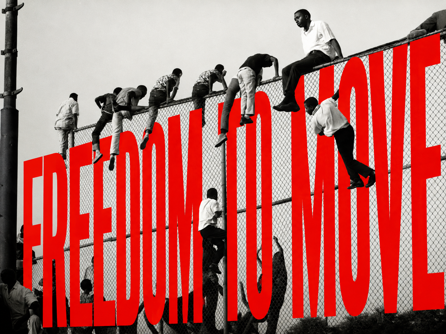 Freedom to Move